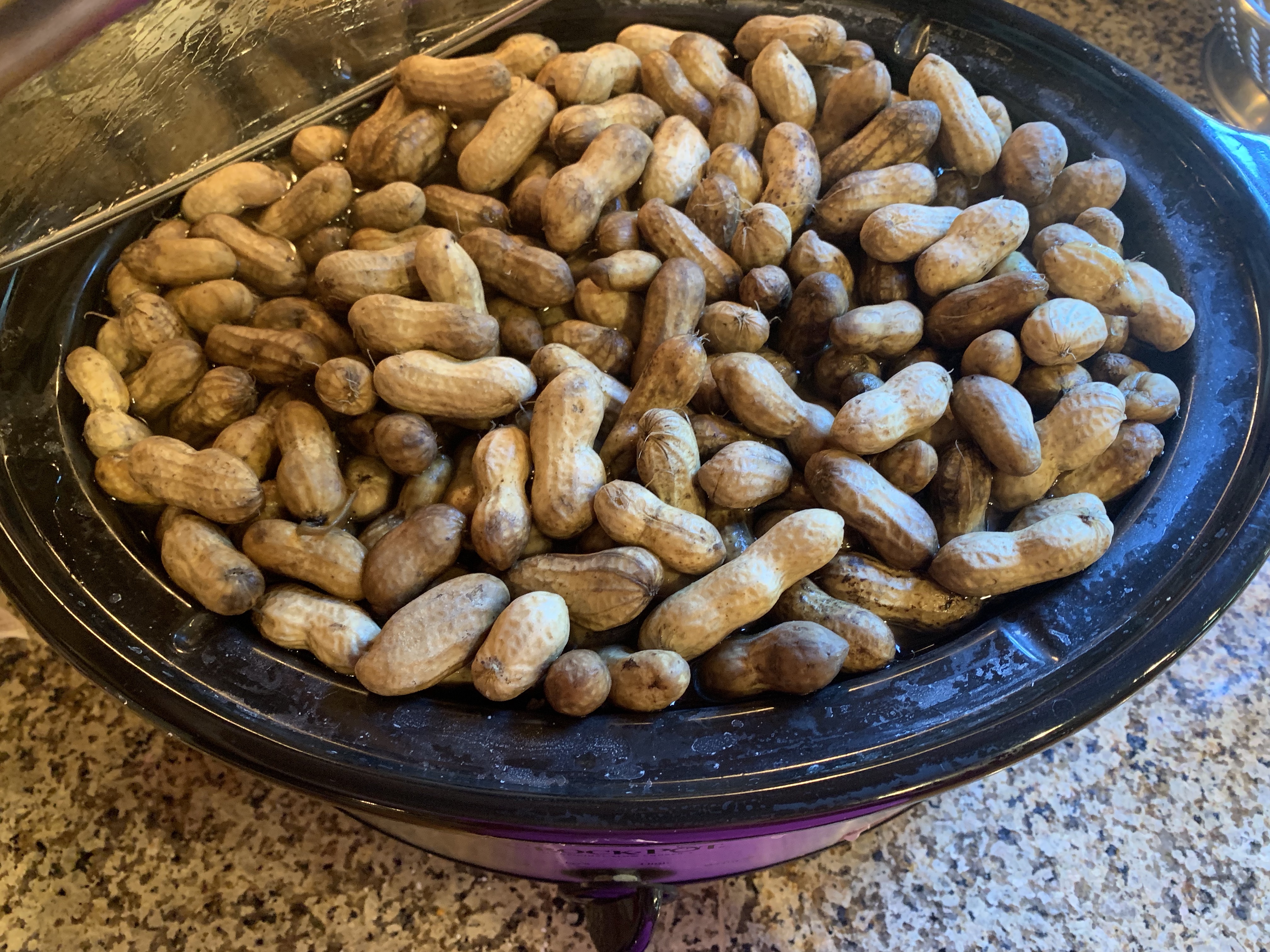 The Best Boiled Peanuts Magnolias and Meltdowns